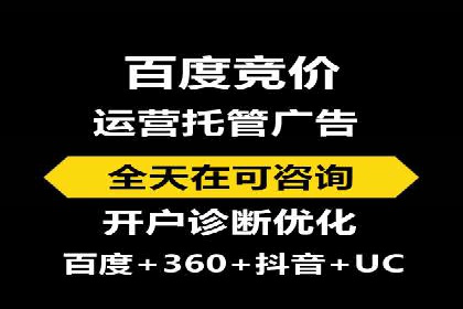百度搜索引擎优化推广：成功案例揭秘
